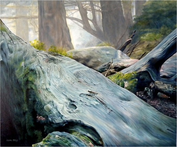 Rain Forest 2