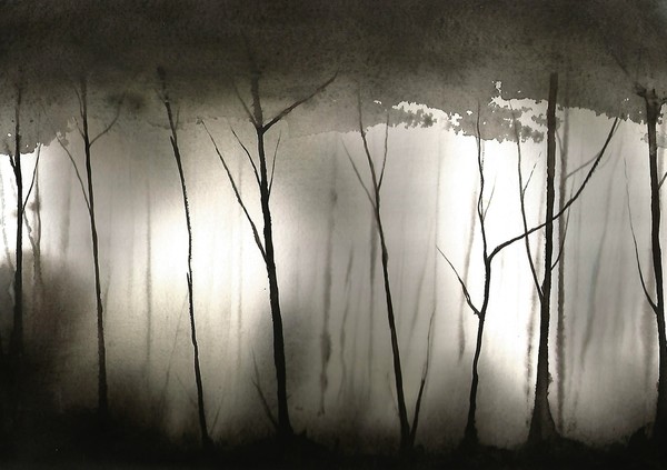 misty woods #3