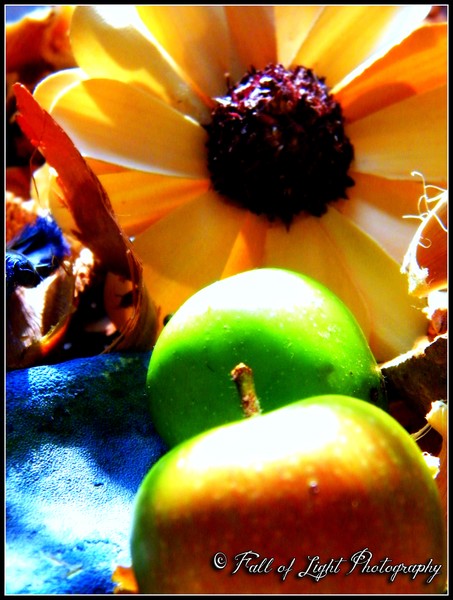 Apples Aplenty