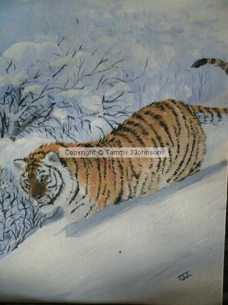 Siberian tiger