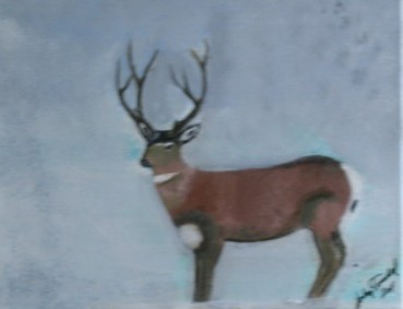 Deer in Winter