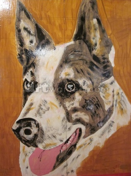 Australian Cattle Dog