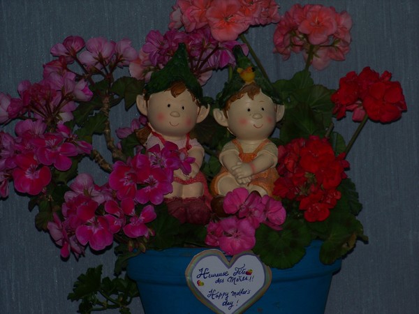 MOTHER'S DAY (in FRANCE)
