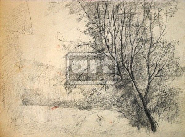 Sketch