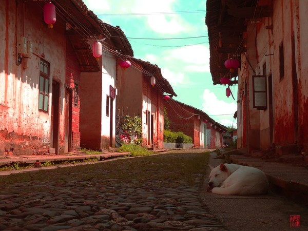 A Street Dreamer