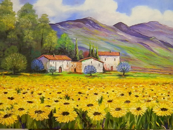 Sunflowers