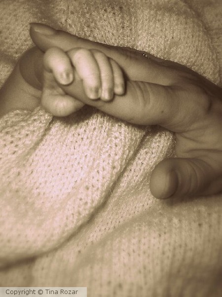 Never Let Go
