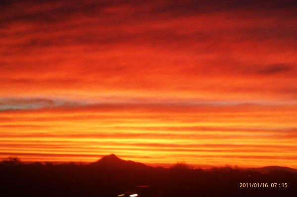 Arizona Dawn 2011