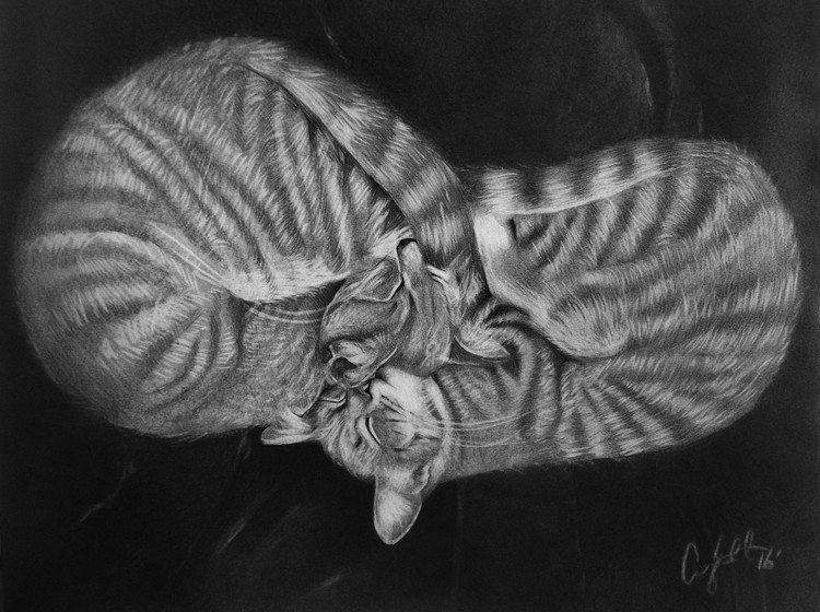Heart Kitties