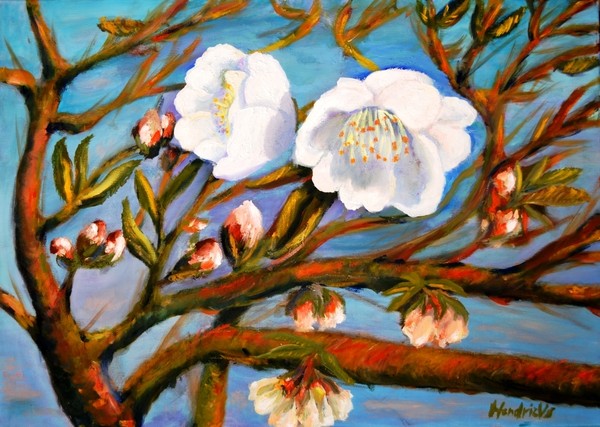 Spring