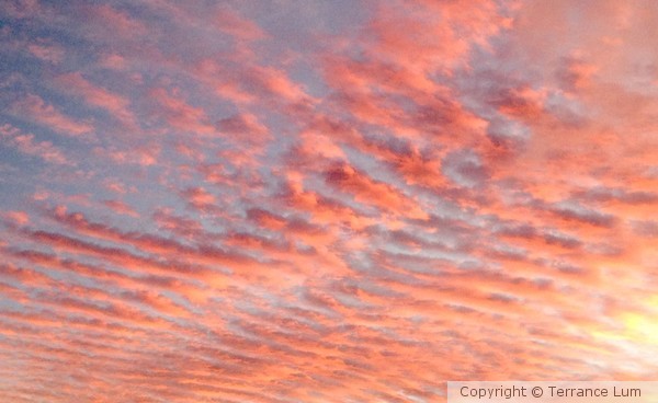 Sky on Fire