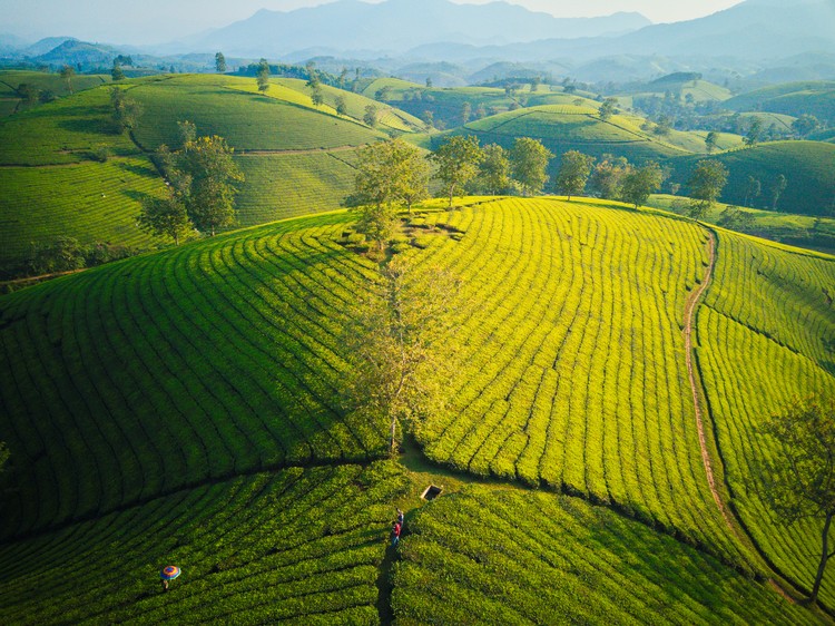 DJI 0065