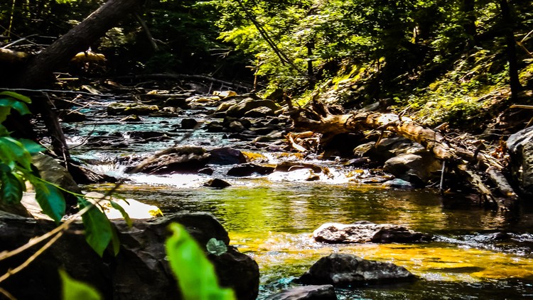 Quiet waters