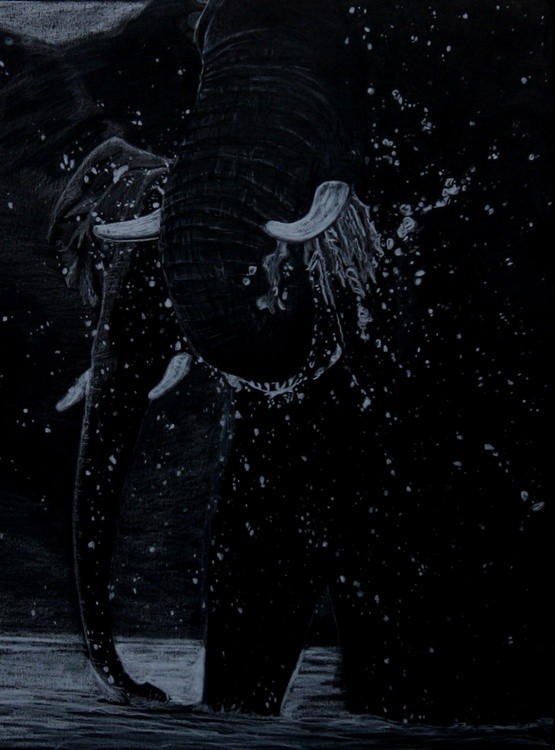 water for elephants