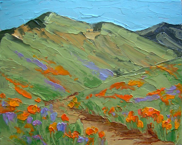 California Poppy Hills