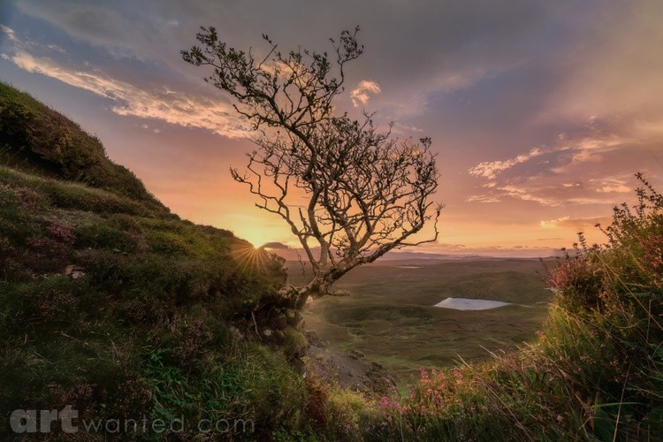 A Lone Sentinel on the Edge of Forever