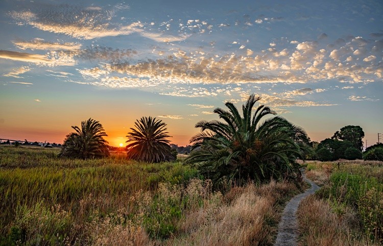 Dawn on the Switchyard Trail - August 23  2025
