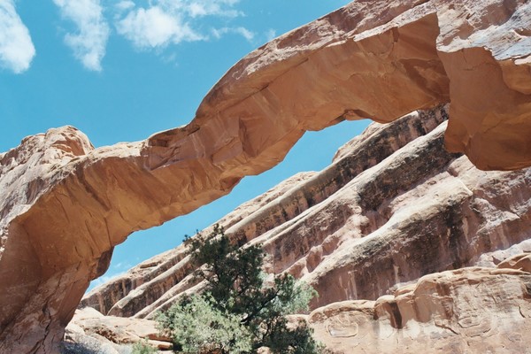 Arch View