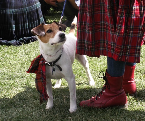 Jack at the Highlands