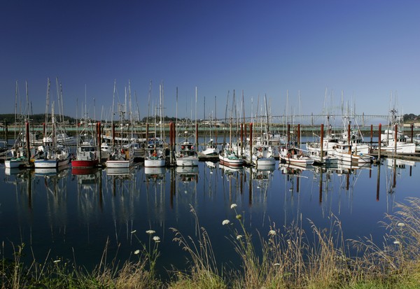 Fishing Boats' Morning