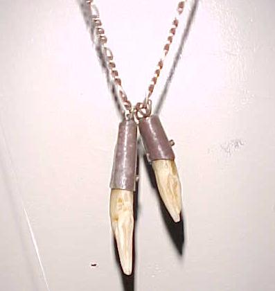 Doberman Tooth Necklace
