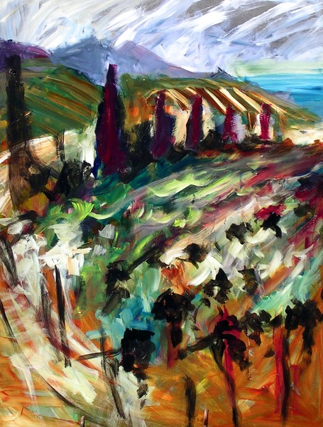 santa barbera vines