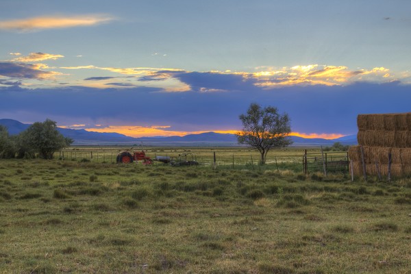 Sunset on the Farm