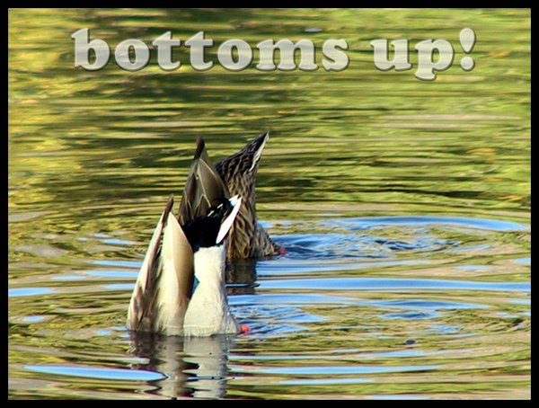 bottoms up!
