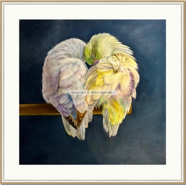 Parrots in Love