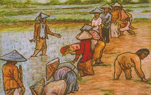 Planting Rice