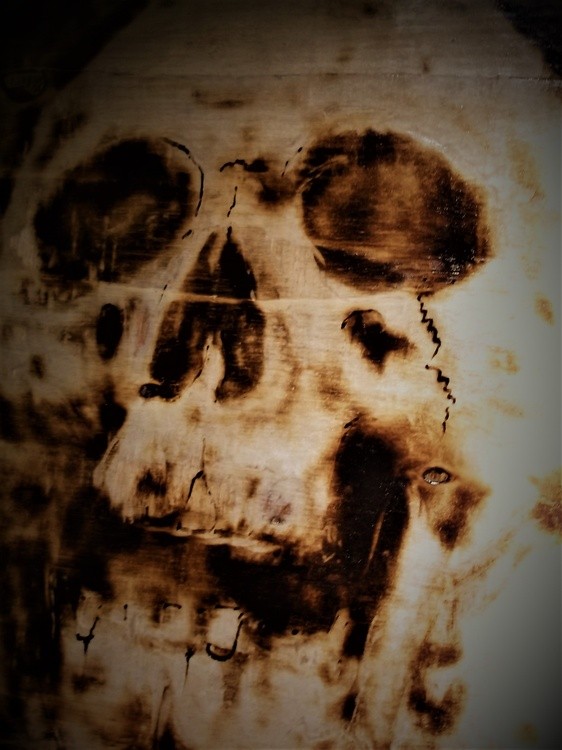 Srorched Skulls  (16)