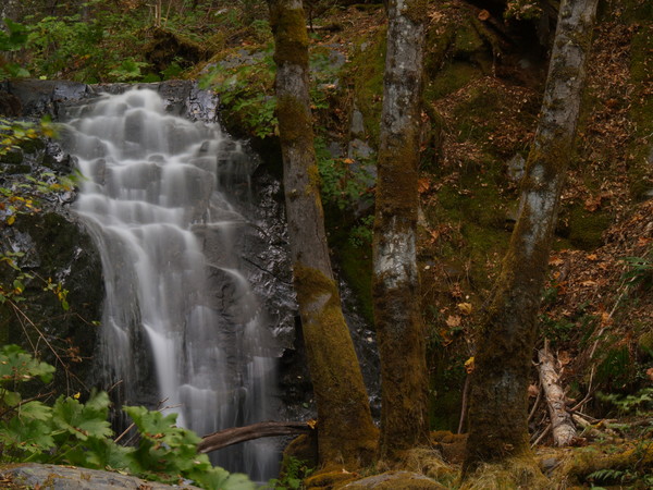Boulder Creek Tier 1