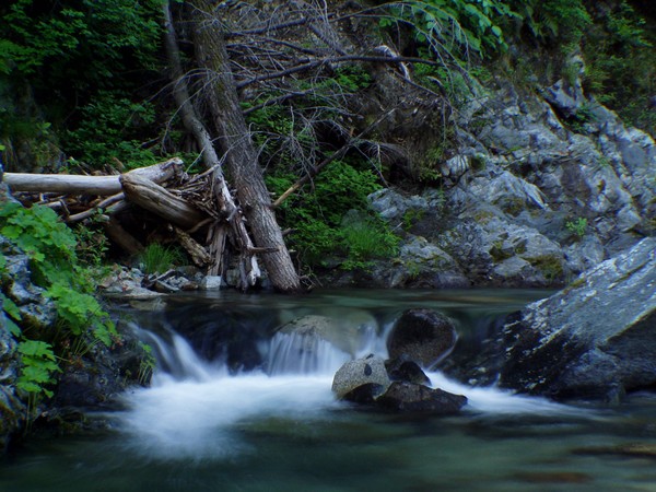Serenity