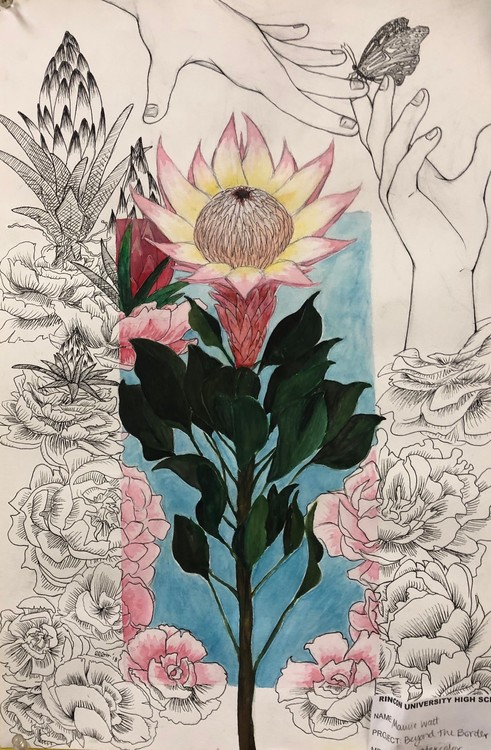 Emergence