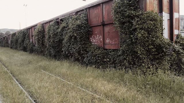 capture moment vscocam vscofilter oldtrainstations train