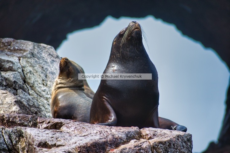 Basking in the Sun