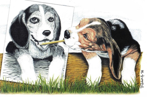 the Dog Artist
