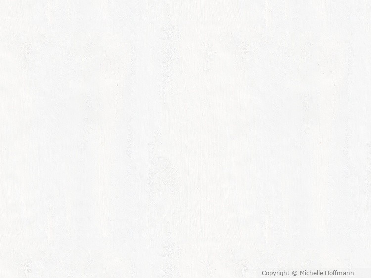 Snowblind