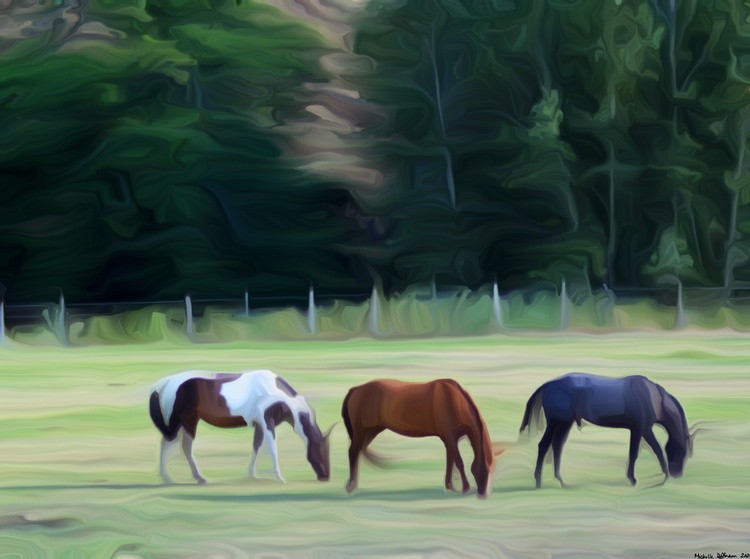 Grazing Horses