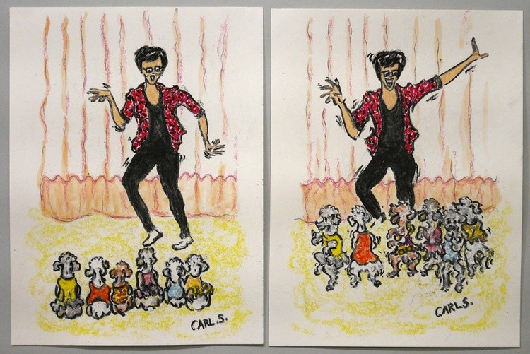 Dance class for Poodles