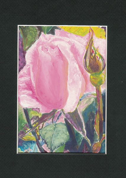 Rose