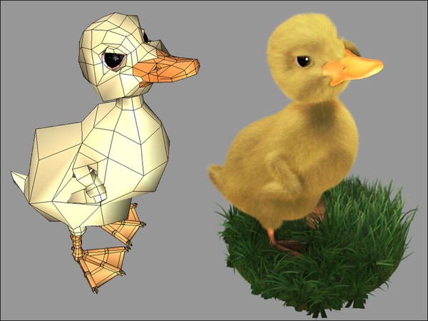 Baby Duck