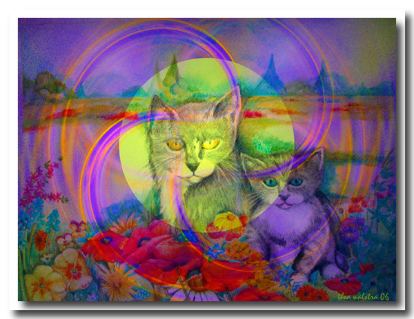 Happy cats
