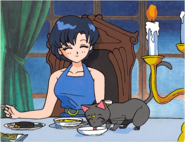Sailor Moon Fan Cel: Sailor Mercury and Luna