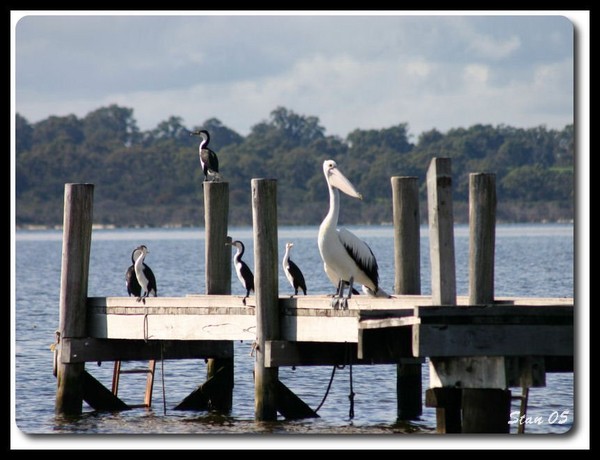 Peli Sample 3