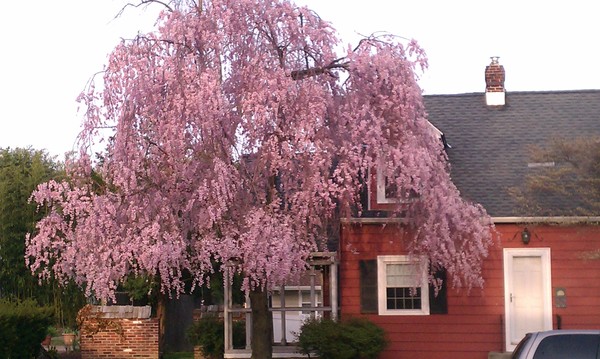 across the street