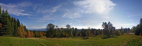 Fall mood in the forest