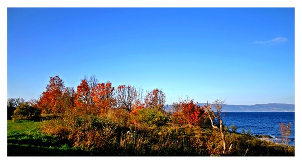 Fall at Trondheim Fjord