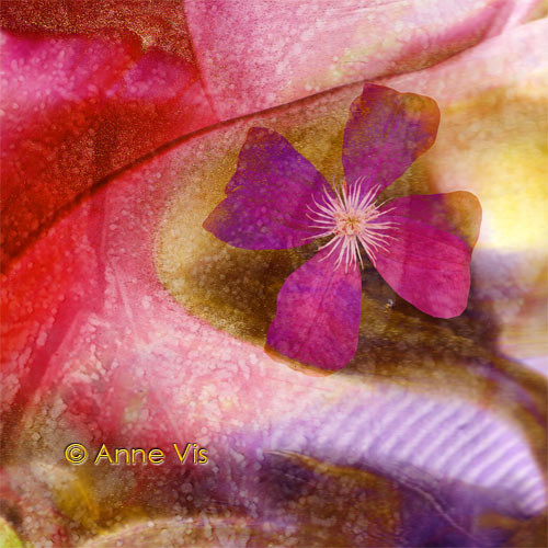 Abstract with Flower