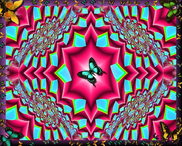 Butterflies